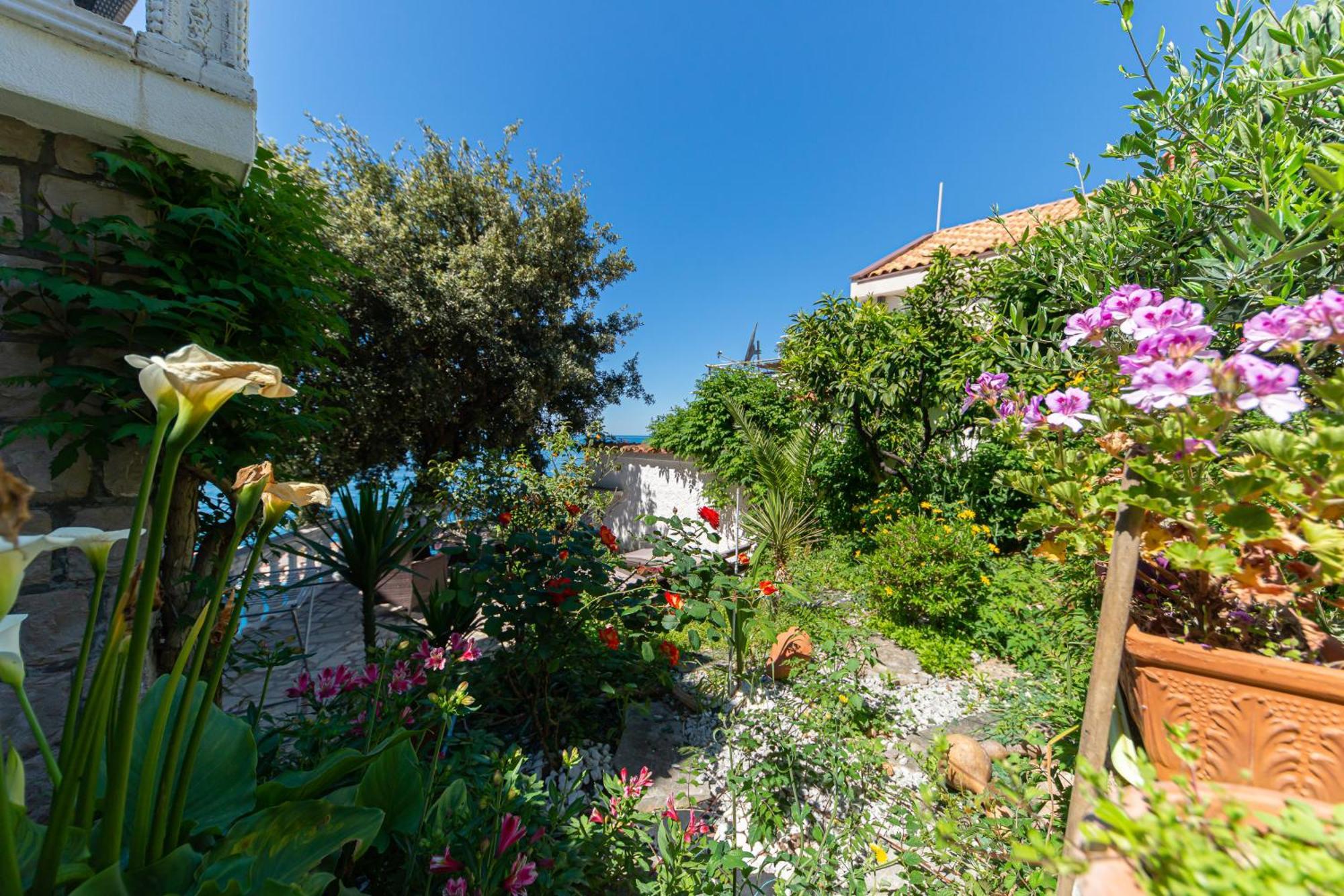 Vila Dora Dobra Voda Exterior photo